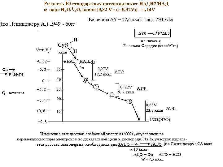 Разность Е 0 стандартных потенциалов от НАДН 2/НАД к паре Н 2 О/1/2 О