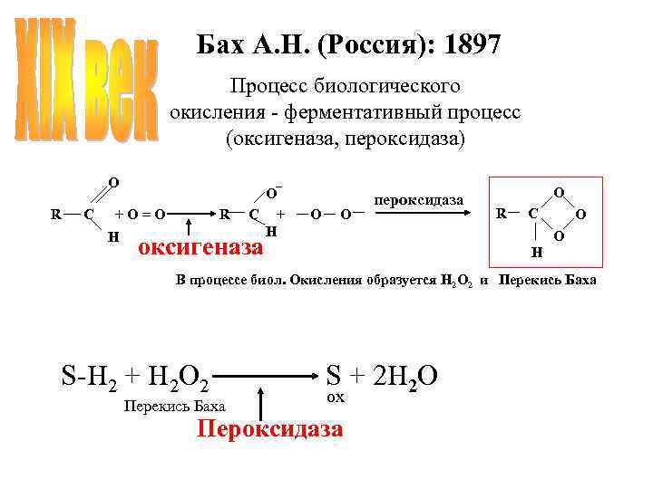 Бах А. Н. (Россия): 1897 Процесс биологического окисления - ферментативный процесс (оксигеназа, пероксидаза) O