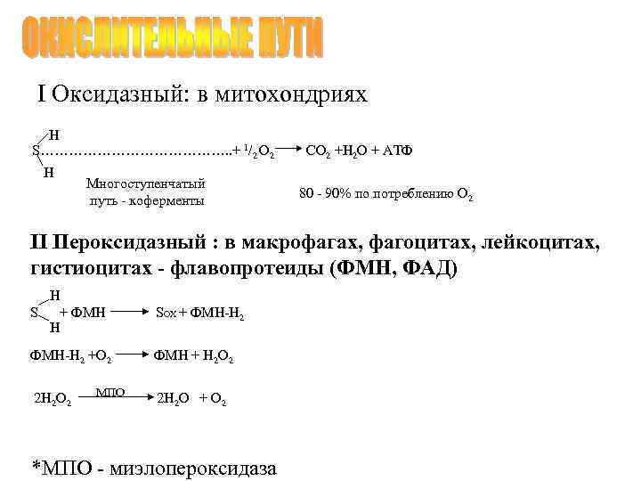 I Оксидазный: в митохондриях H S…………………. . + 1/2 O 2 H Многоступенчатый путь