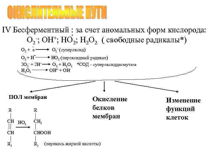 IV Бесферментный : за счет аномальных форм кислорода: . -; ОН+; НО ; Н