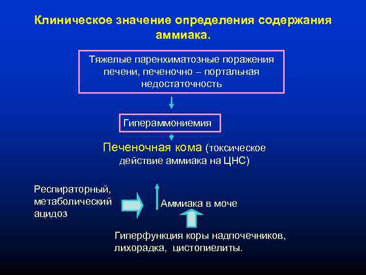 Клиническое значение определения содержания аммиака. Тяжелые паренхиматозные поражения печени, печеночно – портальная недостаточность Гипераммониемия