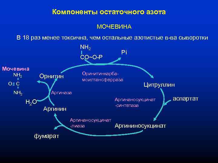 Компоненты остаточного азота МОЧЕВИНА В 18 раз менее токсична, чем остальные азотистые в-ва сыворотки