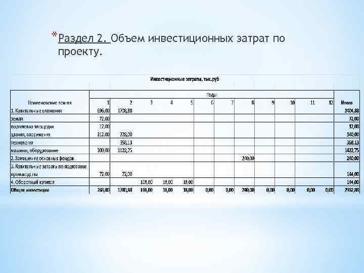 *Раздел 2. Объем инвестиционных затрат по проекту. 