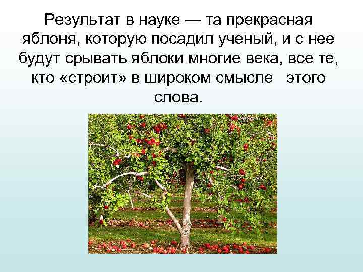 Результат в науке — та прекрасная яблоня, которую посадил ученый, и с нее будут