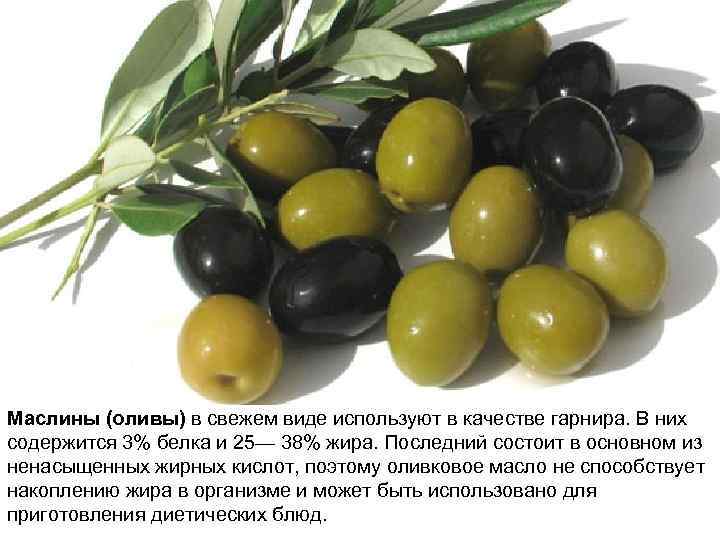 Маслины (оливы) в свежем виде используют в качестве гарнира. В них содержится 3% белка