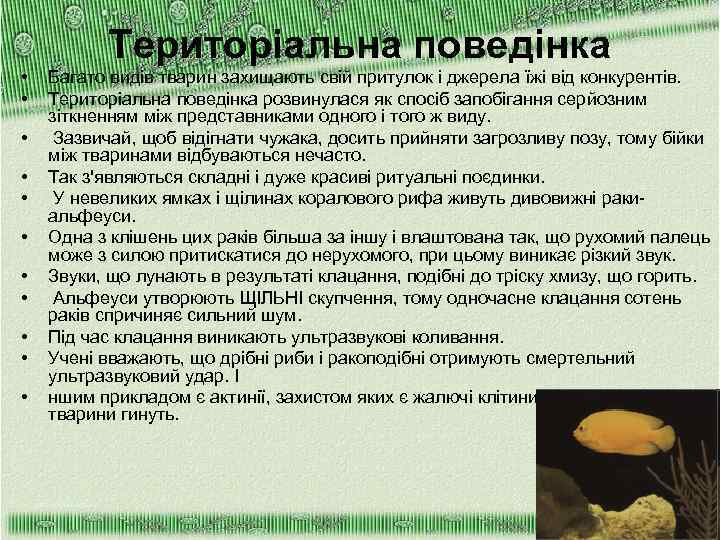 Територіальна поведінка • • • Багато видів тварин захищають свій притулок і джерела їжі