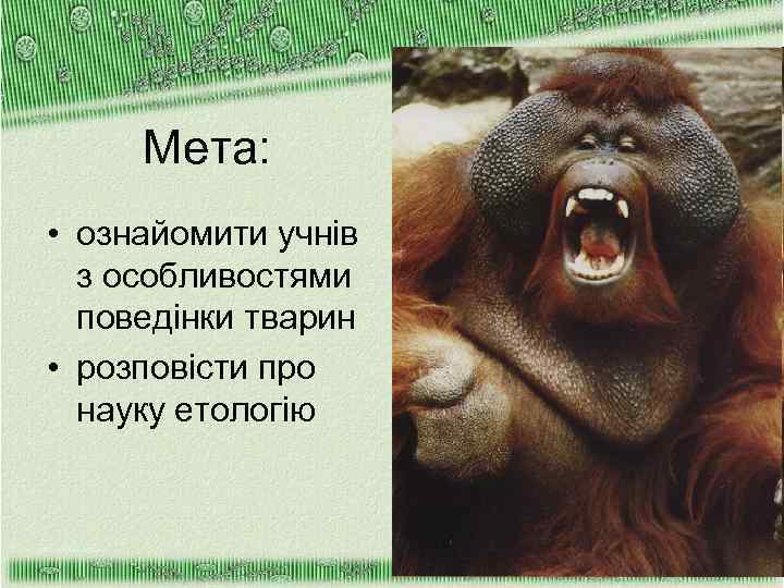 Мета: • ознайомити учнів з особливостями поведінки тварин • розповісти про науку етологію 