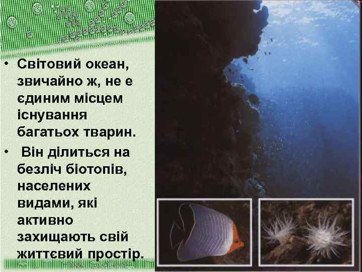  • Світовий океан, звичайно ж, не е єдиним місцем існування багатьох тварин. •