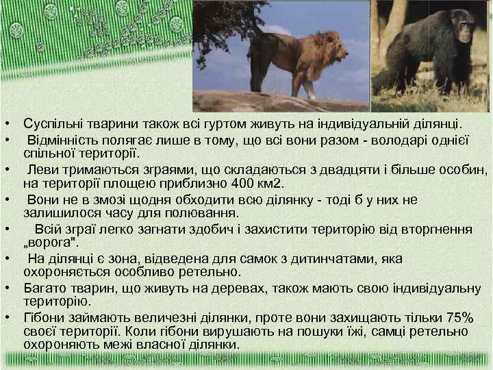  • Суспільні тварини також всі гуртом живуть на індивідуальній ділянці. • Відмінність полягає