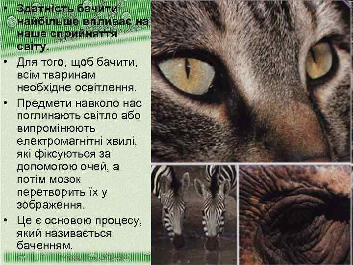  • Здатність бачити найбільше впливає на наше сприйняття світу. • Для того, щоб