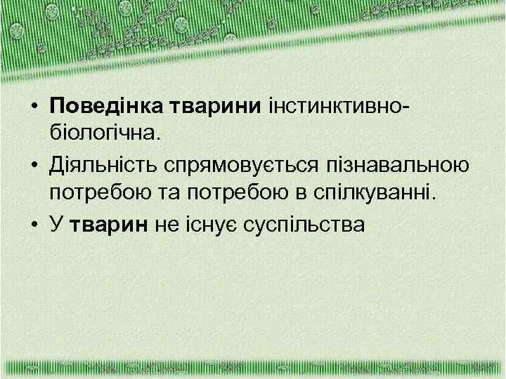  • Поведінка тварини інстинктивнобіологічна. • Діяльність спрямовується пізнавальною потребою та потребою в спілкуванні.