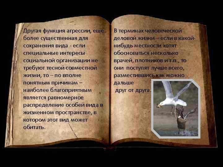 Другая функция агрессии, еще более существенная для сохранения вида - если специальные интересы социальной