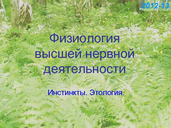 2012 -13 Физиология высшей нервной деятельности Инстинкты. Этология. 