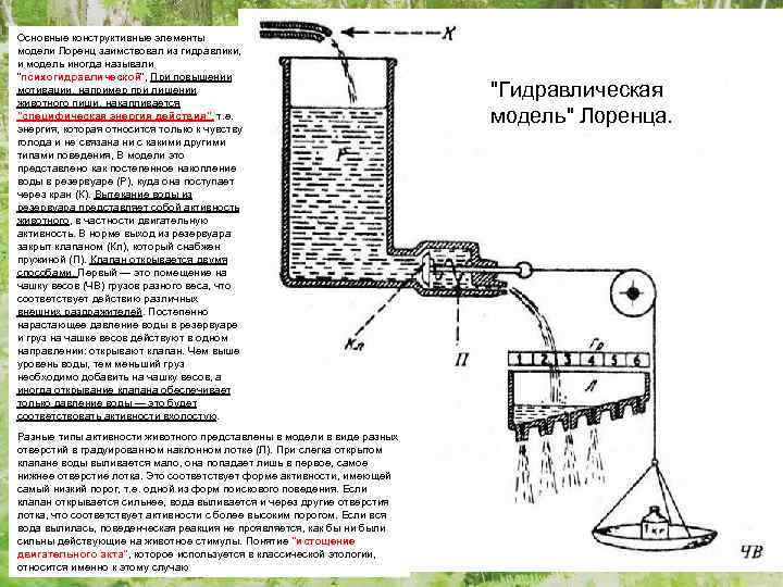 Основные конструктивные элементы модели Лоренц заимствовал из гидравлики, и модель иногда называли 