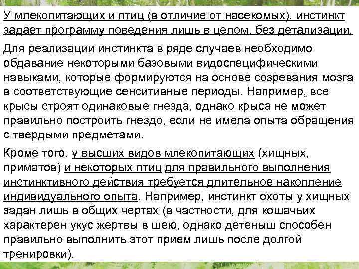 У млекопитающих и птиц (в отличие от насекомых), инстинкт задает программу поведения лишь в