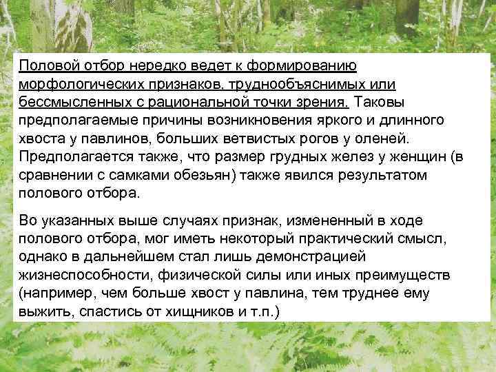 Половой отбор нередко ведет к формированию морфологических признаков, труднообъяснимых или бессмысленных с рациональной точки