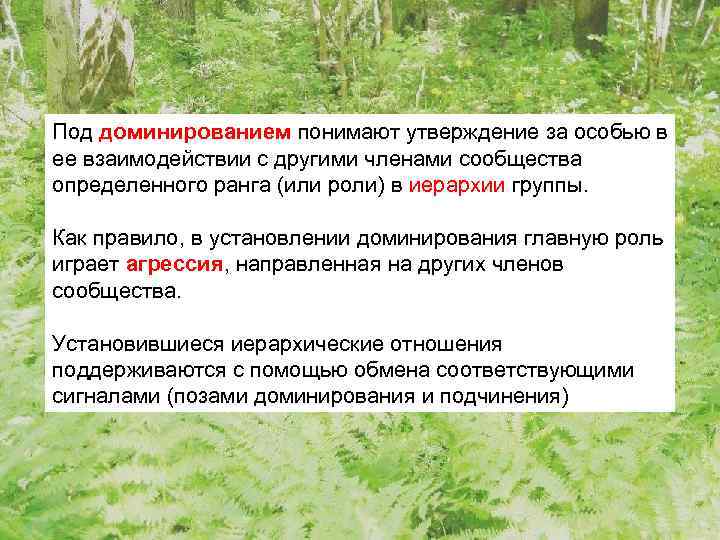 Под доминированием понимают утверждение за особью в ее взаимодействии с другими членами сообщества определенного