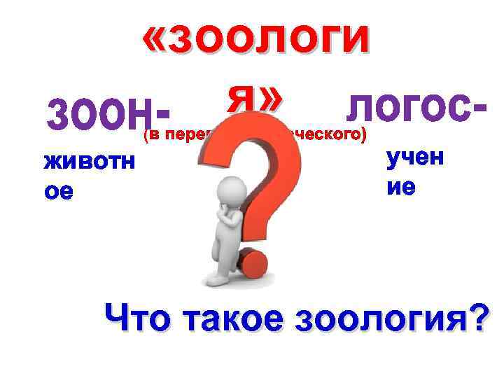  «зоологи я» (в переводе с греческого) животн ое учен ие Что такое зоология?
