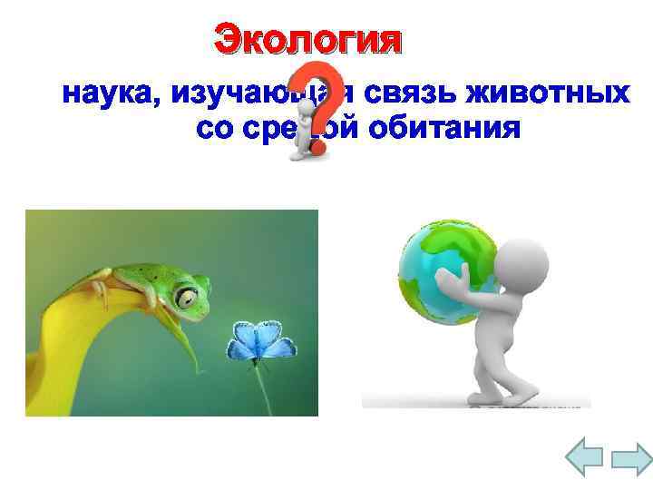 Экология наука, изучающая связь животных со средой обитания 