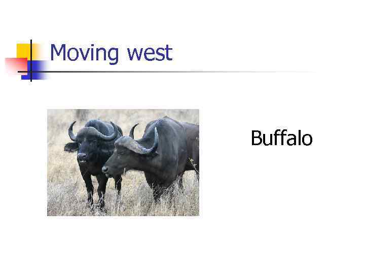 Moving west Buffalo 