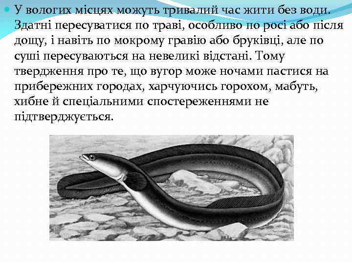  У вологих місцях можуть тривалий час жити без води. Здатні пересуватися по траві,