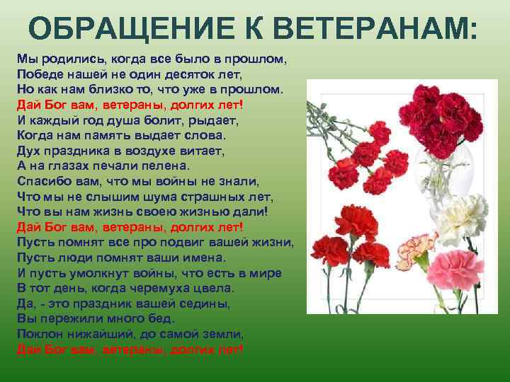 ОБРАЩЕНИЕ К ВЕТЕРАНАМ: Мы родились, когда все было в прошлом, Победе нашей не один