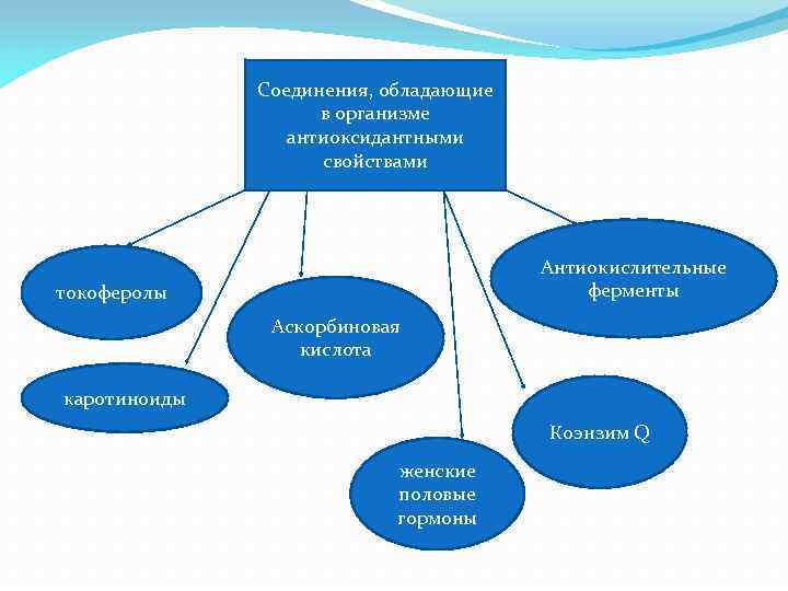 Соединения, обладающие в организме антиоксидантными свойствами Антиокислительные ферменты токоферолы Аскорбиновая кислота каротиноиды Коэнзим Q