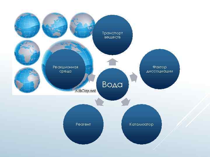 Транспорт веществ Реакционная среда Фактор диссоциации Вода Реагент Катализатор 
