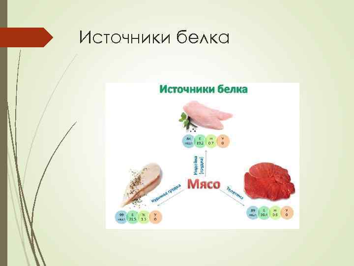 Источники белка 