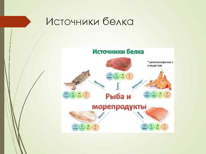 Источники белка 