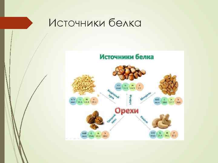 В каком орехе много белков. Источники белка. Орехи источник белка. Много белок. Белок в орехах.