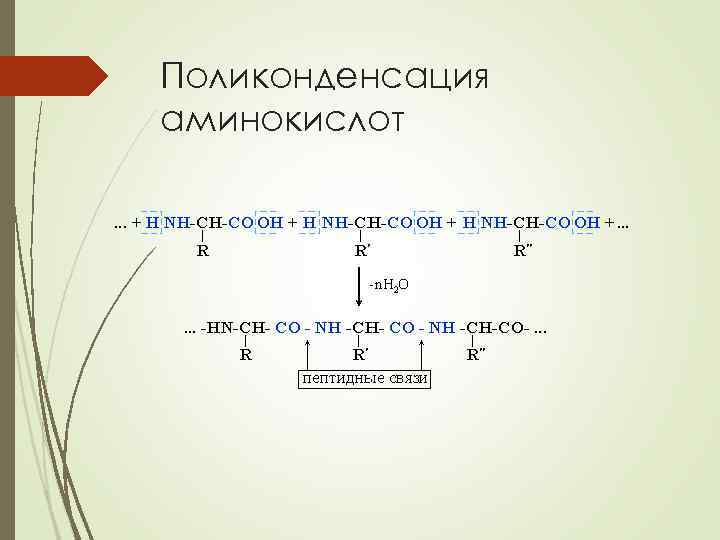 При поликонденсации глюкозы образуется. Реакция поликонденсации аминокислот. Реакция поликонденсации аминокислот образование пептидов. Схема реакции поликонденсации аминокислот. Образование белка реакция поликонденсации аминокислот.