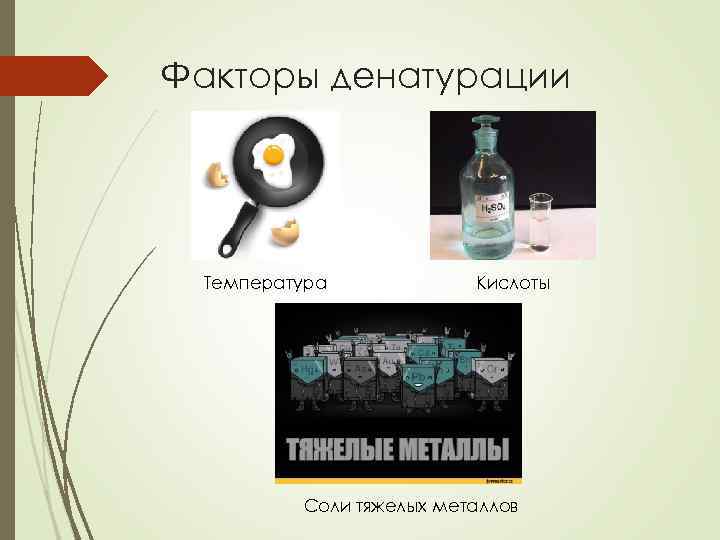 Факторы денатурации Температура Кислоты Соли тяжелых металлов 
