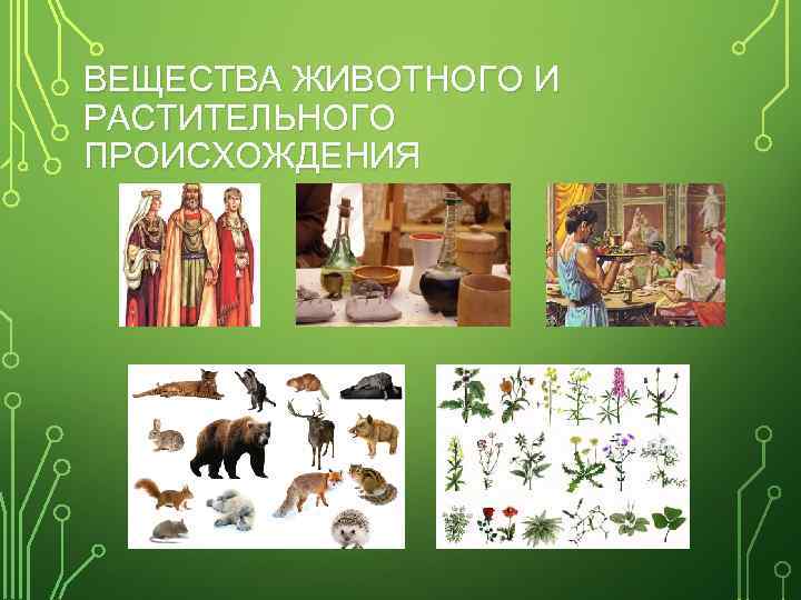 ВЕЩЕСТВА ЖИВОТНОГО И РАСТИТЕЛЬНОГО ПРОИСХОЖДЕНИЯ 