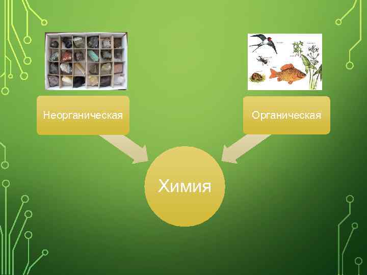Органическая Неорганическая Химия 