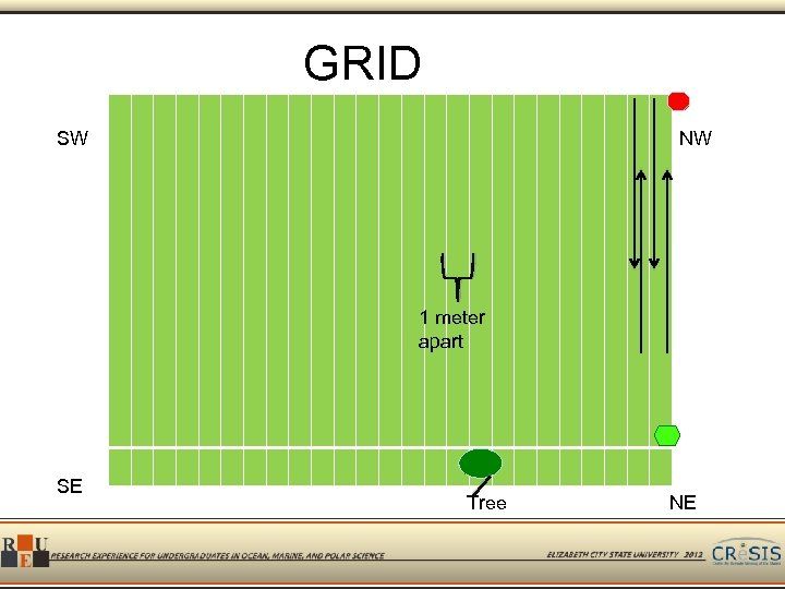 GRID SW NW 1 meter apart SE Tree NE 