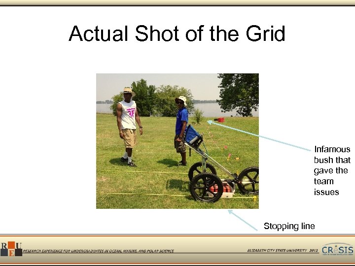 Actual Shot of the Grid Infamous bush that gave the team issues Stopping line