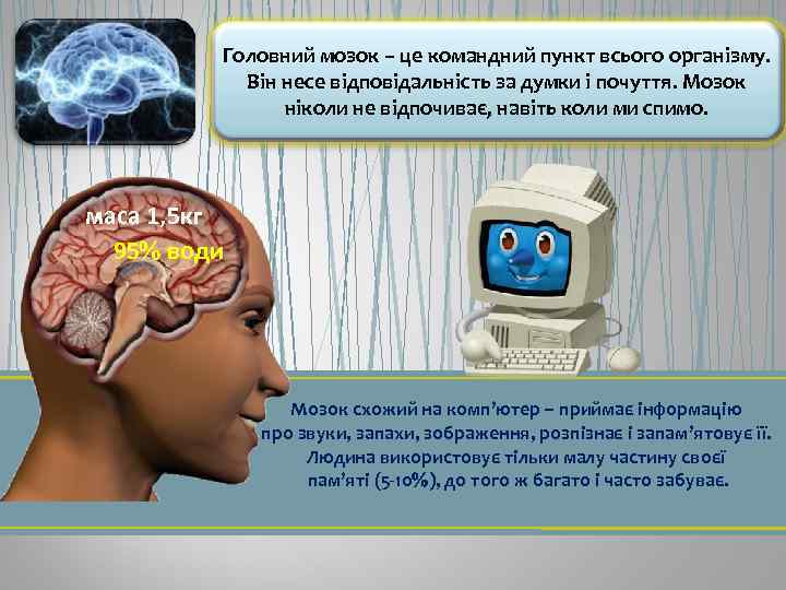 Головний мозок – це командний пункт всього організму. Він несе відповідальність за думки і