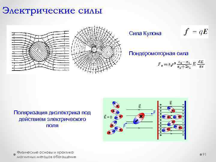 Электрические силы Сила Кулона Пондеромоторная сила Поляризация диэлектрика под действием электрического поля Физические основы