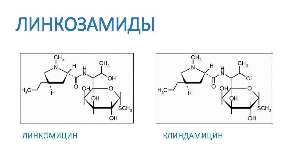 Линкозамиды презентация фармакология