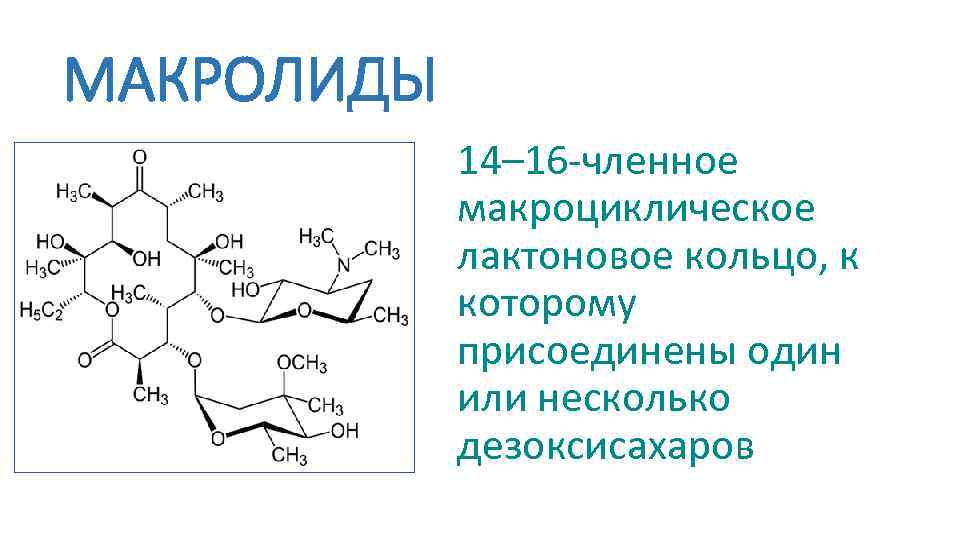 МАКРОЛИДЫ 14– 16 -членное макроциклическое лактоновое кольцо, к которому присоединены один или несколько дезоксисахаров