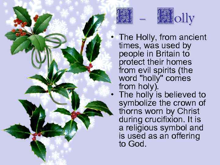 H - Holly • The Holly, from ancient times, was used by people in