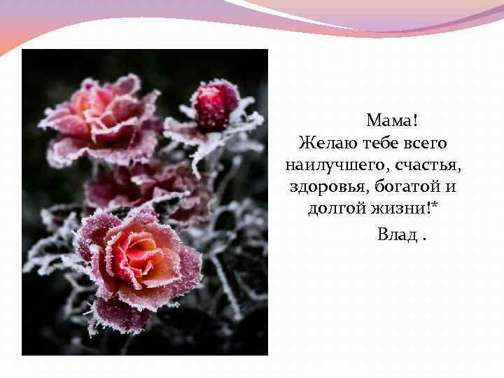 Мама! Желаю тебе всего наилучшего, счастья, здоровья, богатой и долгой жизни!* Влад. 