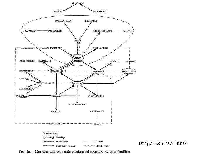 Padgett & Ansell 1993 