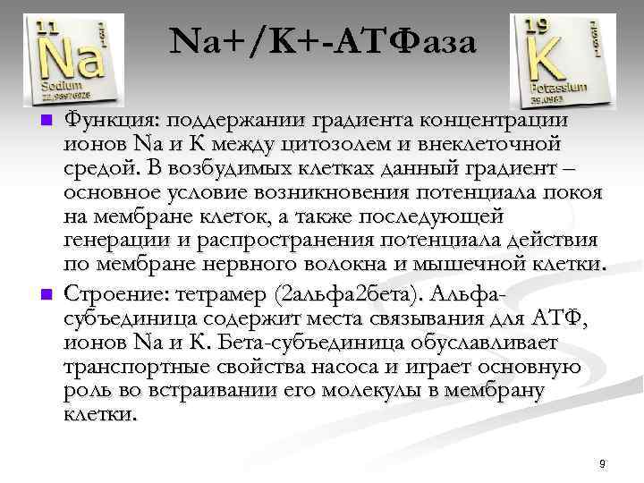 Na+/K+-АТФаза n n Функция: поддержании градиента концентрации ионов Na и К между цитозолем и
