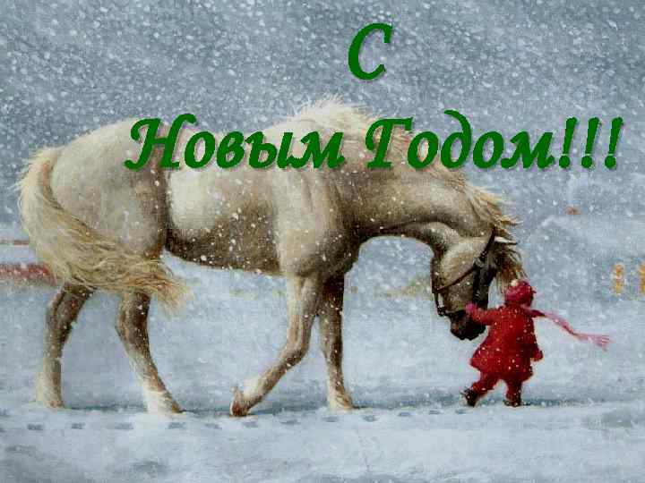 C Новым Годом!!! 