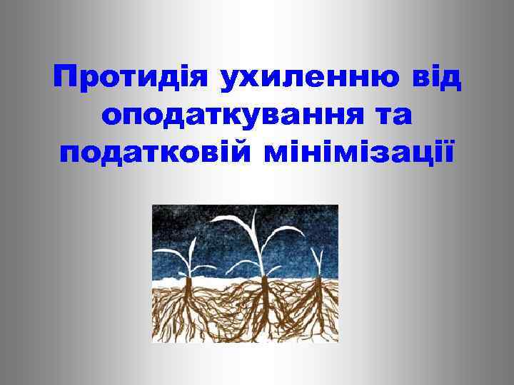 Протидія ухиленню від оподаткування та податковій мінімізації 
