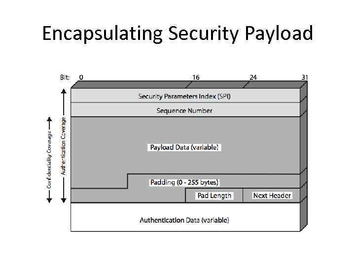 Encapsulating Security Payload 