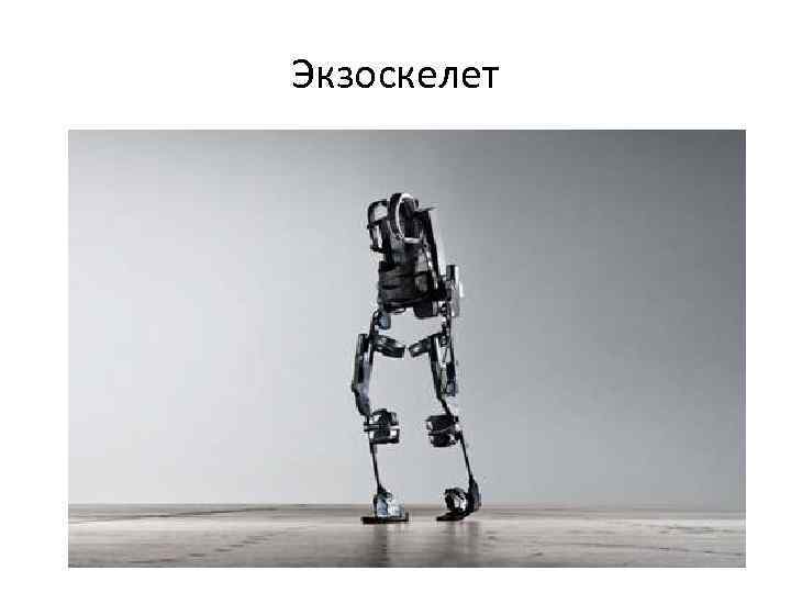 Экзоскелет 
