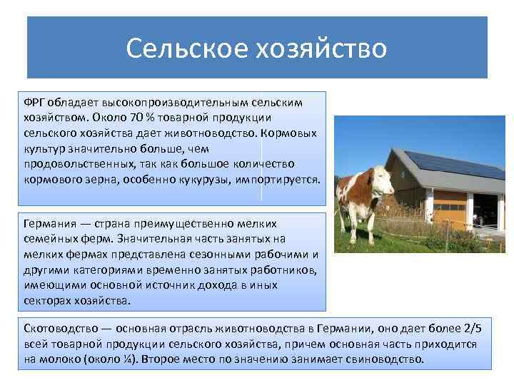 Сельское хозяйство ФРГ обладает высокопроизводительным сельским хозяйством. Около 70 % товарной продукции сельского хозяйства
